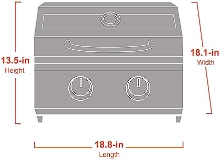 Portable Propane Gas Grill 2-Burner Tabletop Clearview® Monument Grills for Outdoor Camping Cooking, Two 15,000 BTU Burners, Stainless Steel, and Built-in Thermometer