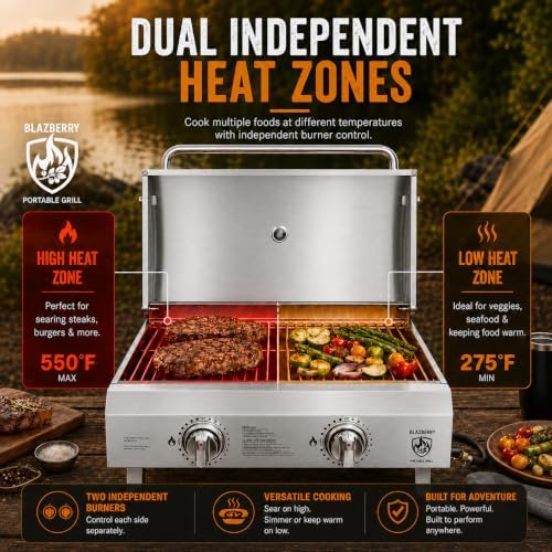 2-Burner Portable Propane Grill, 20,000 BTU Tabletop Gril