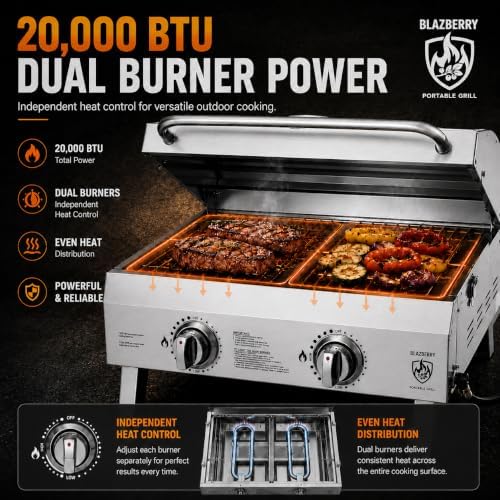 2-Burner Portable Propane Grill, 20,000 BTU Tabletop Gril