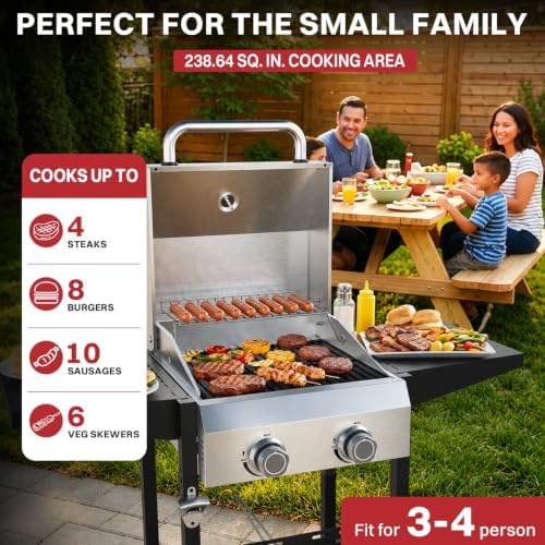 2 Burner Propane Gas Grill, 24000 BTU Portable BBQ with Lid & Wheels