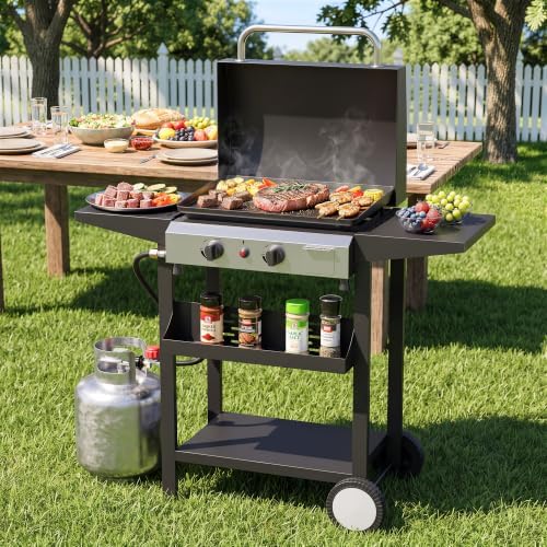 2 Burner BBQ Gas Griddle, Small Propane Grill, 17.3 Inch, Silver