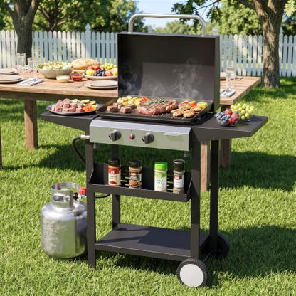 2 Burner BBQ Gas Griddle, Small Propane Grill, 17.3 Inch, Silver