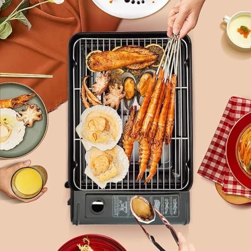 Portable Butane Stove Dual Fuel Gas BBQ Grill with Case & Stainless Grate