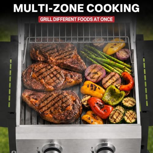 2 Burner Propane Gas Grill, 24000 BTU Portable BBQ with Lid & Wheels