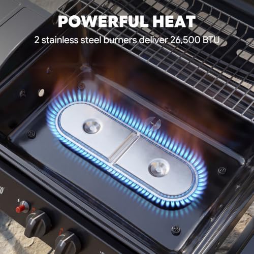 Feasto 2 Burner Propane Gas Grill for Outdoor Cooking and BBQ, Black