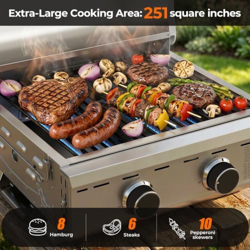 Electactic 20000 BTUs Portable Tabletop Gas Grill, 2 Burners Propane BBQ