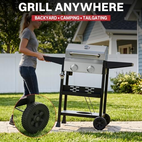 2 Burner Propane Gas Grill, 24000 BTU Portable BBQ with Lid & Wheels