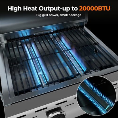 Electactic 20000 BTUs Portable Tabletop Gas Grill, 2 Burners Propane BBQ