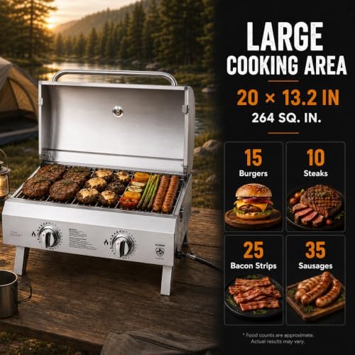 2-Burner Portable Propane Grill, 20,000 BTU Tabletop Gril