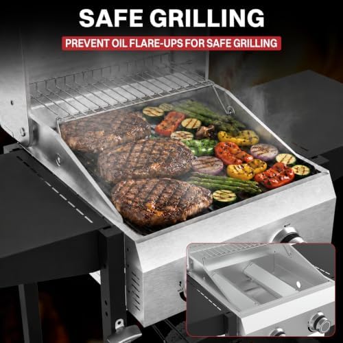 2 Burner Propane Gas Grill, 24000 BTU Portable BBQ with Lid & Wheels