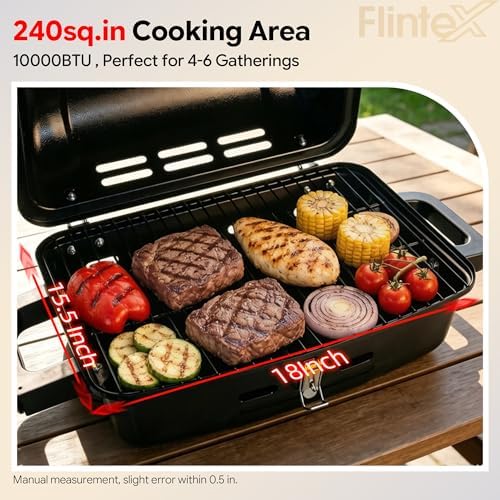Flintex Portable Propane Gas Grill, Tabletop Camping Compact Design