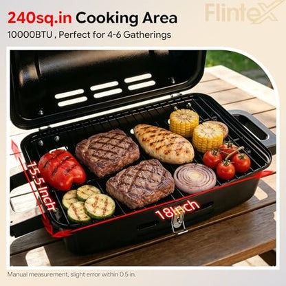 Flintex Portable Propane Gas Grill, Tabletop Camping Compact Design