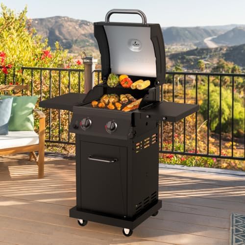 Nexgrill Deluxe 2 Burner Gas Grill, Foldable Shelves with Warming Rack
