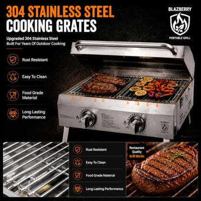 2-Burner Portable Propane Grill, 20,000 BTU Tabletop Gril