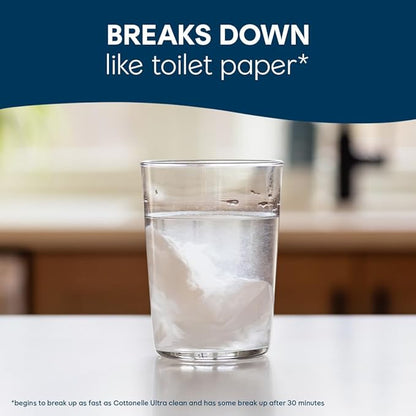 Cottonelle GentlePlus Flushable Wet Wipes with Aloe & Vitamin E, 6 Flip-Top Packs, 42 Wipes Per Pack (252 Total Wipes), Packaging May Vary