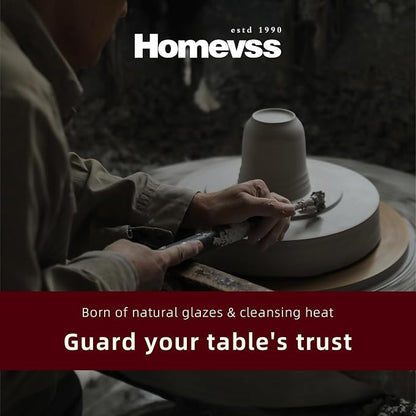 HomeVSS 20-Piece Dinnerware Set