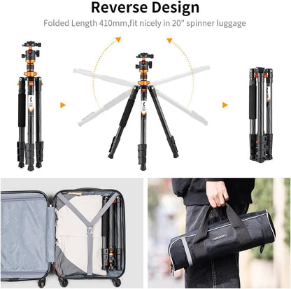 K&F Concept 63" Carbon Fiber Camera Tripods,D254C1+BH-28L Compact Tripod with Detachable Monopod, Metal Ball Head 22lbsLoad Capacity with Quick Release Plate for SLR DSLR Digital Camera/Camcorder