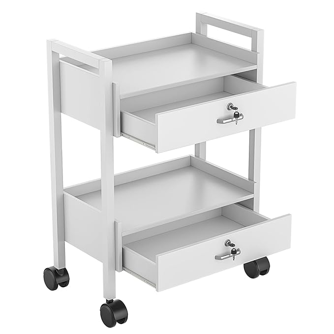 Paddie Salon Trolley Cart, Salon Tray Wooden Mobile Utility Cabinet with 2 Lockable Drawers, Rolling Storage Station Medical Esthetic Supply Holder for Beauty Spa (2 Drawers, White)