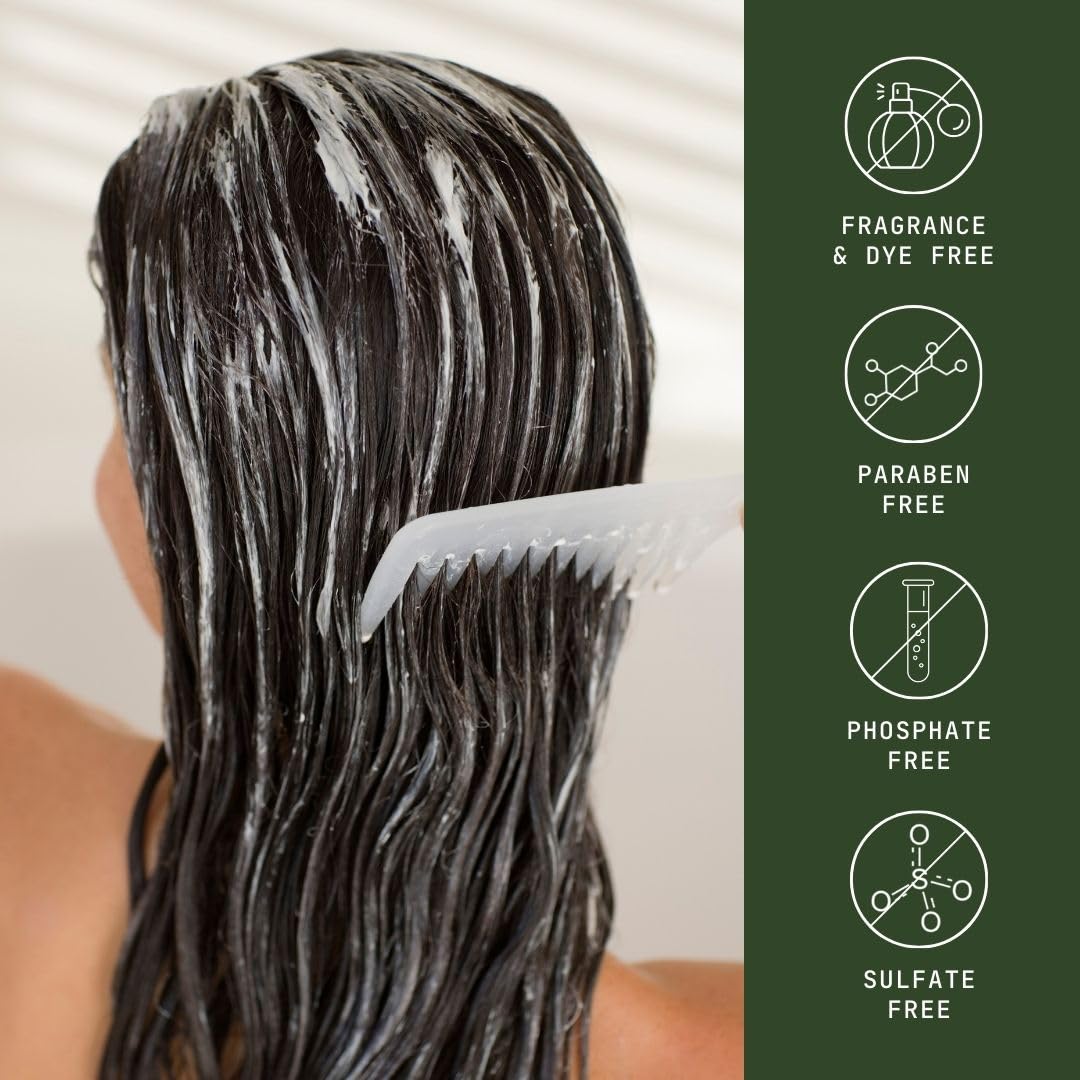 Natural Shampoo for Hair Care, Sulfate Free Shampoo with Castor Oil, Jasmine, Glycerin, Aloe Vera & Mild Thickening Agent, Dry to Color Treated to All Hair, 13.5 fl oz