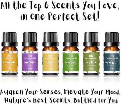 Essential Oils for Laundry | 100% Pure Therapeutic Grade Aromatherapy Essential Oil Set - Top 6 | Dryer Balls, Diffusers, Soaps, Candles | Lavender, Tea Tree, Eucalyptus, Bergamot, Lemon, Chamomile