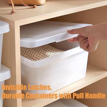 15 QuartStackable Plastic Storage Bins with Lids,Container to Organize Shoes and Crafts on Closet Shelves,Garage, Totes, Tubs Boxes Organizing 4 Pack (N-2L)