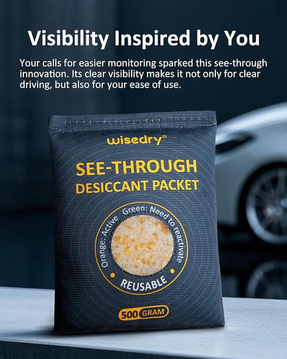 wisedry 500GX2 See-Through Silica Gel Packets, Color-Indicating Desiccant Packs for Storage, Reusable Safe Dehumidifier, Heat Resistant Dehumidifier Bags