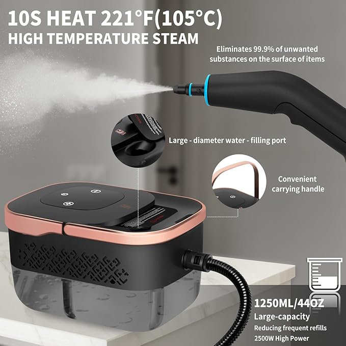 2500W Portable Handheld Steam Cleaner, High Temperature Pressurized Steam Cleaning Large Capacity 10s Fast Heating Steamer for Car Detailing, Furniture, Couch, Bed Bugs, House, Windows (BLACK)