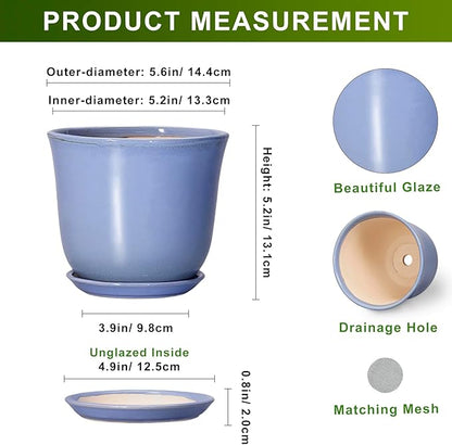 Ceramic Plant Pots