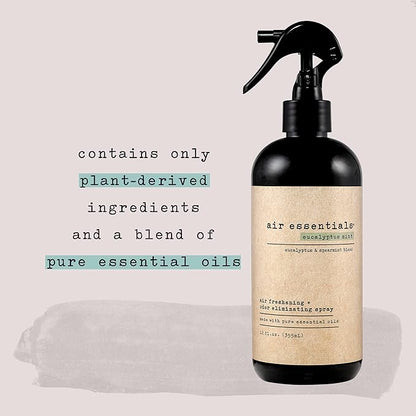 Air Essentials Air Freshener & Odor Eliminator Spray - 12 oz, Pack of 2 - Made with Pure Essential Oils - Eucalyptus Mint Scent