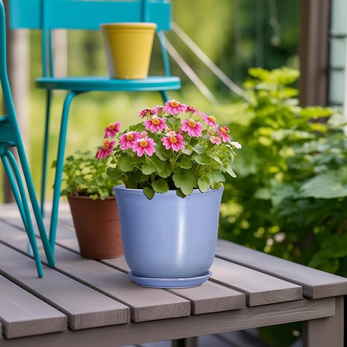 Ceramic Plant Pots