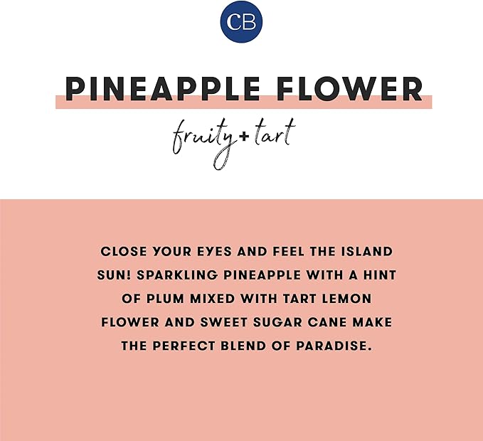 Capri Blue Reed Diffuser - Reed Diffuser Set Includes Scented Oil, Sticks, and Mercury Iridescent Glass Bottle - Home Decor Room Fresheners - Pineapple Flower (5.7 fl oz)