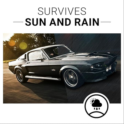 CAR GUYS Plastic Restorer | Bring Plastic, Rubber, and Vinyl Back to Life! | User Friendly Trim Restorer | Safe Auto Detailing Supplies | 8 Oz Kit with Foam Applicator