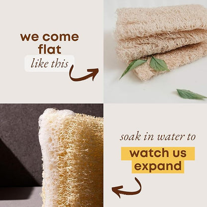Natural Loofah Dish Sponge (Pack 4) - Vegetable Scrubber for Kitchen - 100% Biodegradable Compostable Dishwashing Scouring Pad Zero Waste