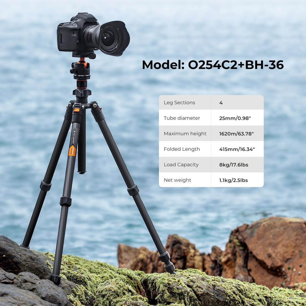 K&F Concept 64" Carbon Fiber Camera Tripod,Lightweight Travel Tripod with 36mm Metal Ball Head Load Capacity 17.6lbs, Quick Release Plate,for DSLR Cameras Indoor Outdoor Use K254C2+BH-36L