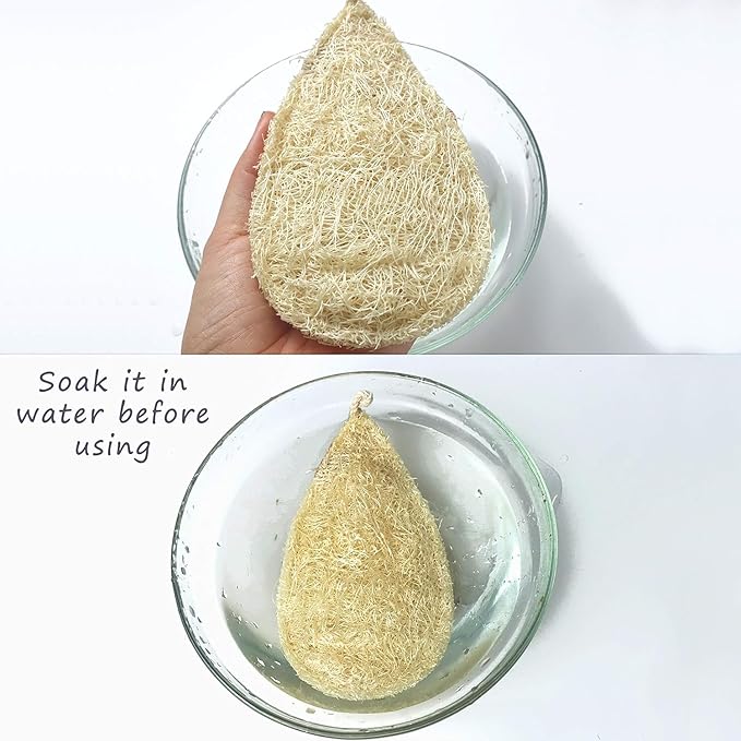 Natural Loofah Dish Sponge (Pack 15) - Vegetable Scrubber for Kitchen -100% Biodegradable Compostable Dishwashing Scouring Pad, Zero Waste Plastic Free Eco Friendly Sustainable