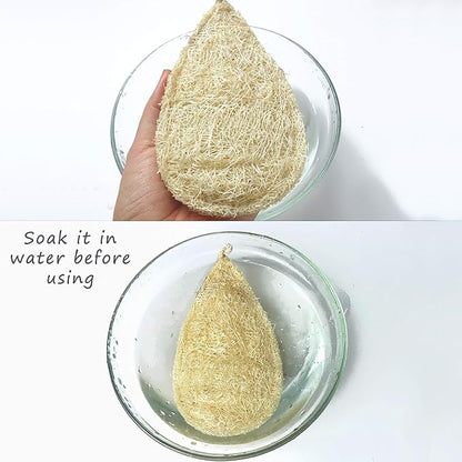 Natural Loofah Dish Sponge (Pack 15) - Vegetable Scrubber for Kitchen -100% Biodegradable Compostable Dishwashing Scouring Pad, Zero Waste Plastic Free Eco Friendly Sustainable