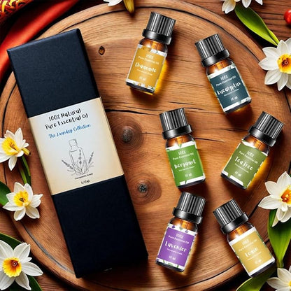 Essential Oils for Laundry | 100% Pure Therapeutic Grade Aromatherapy Essential Oil Set - Top 6 | Dryer Balls, Diffusers, Soaps, Candles | Lavender, Tea Tree, Eucalyptus, Bergamot, Lemon, Chamomile
