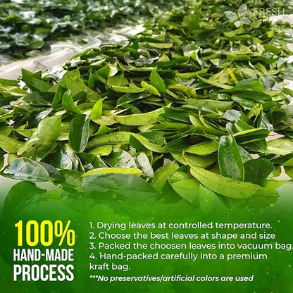 FreshDrinkUS, Premium 275+ Soursop Graviola Whole Dried Leaves Tea, 275-300 Soursop Graviola Guanabana Whole Leaves, Wildcrafted, Hoja Guanabana Loose Leaf Herbal Tea, No Gluten, Vegan