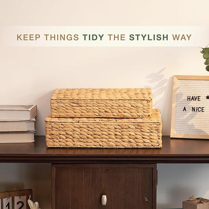 Set of 2 Wicker Baskets with Lid for Organizing - Decorative Storage Boxes With Lids for Home Decor, Shelves - Organic Modern Home Decor - Remote Box - Coffee Table Basket