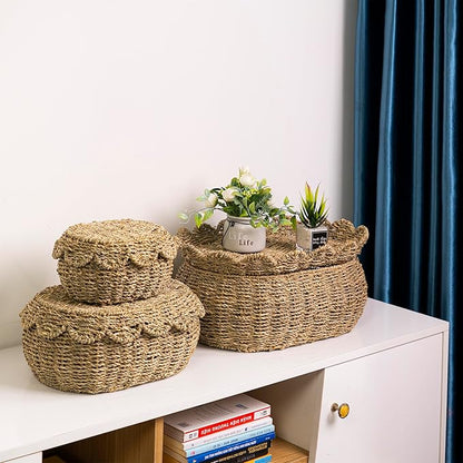 KOLWOVEN Set of 3 Wicker Storage Baskets with Lid - Decorative Handwoven Rattan Baskets for Organizing, Small Hyacinth Storage Boxes with Scalloped Edges, Natural Woven Storage Bins with Lids