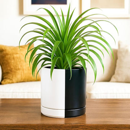 D'vine Dev 6.5 Inch Ceramic Planter Pot with Drainage Hole and Saucer, Indoor Cylinder Round Planter Pot, Split Monochrome Black & White, 94-O-C-0