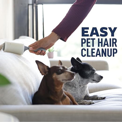 Scotch-Brite Everyday Clean Lint Roller, 3 Pack, Lint Remover for Pet Hair, Dark Clothes, Furniture, and Dusty Surfaces, Picks Up Fur & Fluff in Your Home, Car & Office, 300 Adhesive Sheets Total