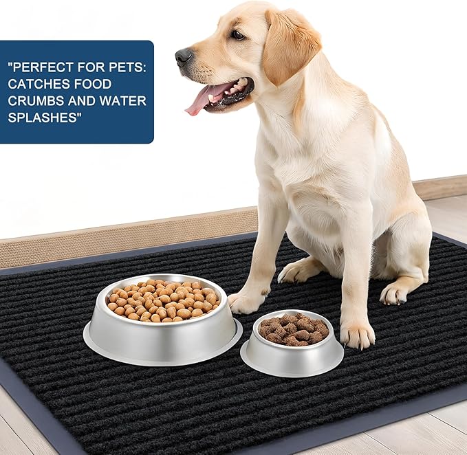 OLANLY Front Door Mat Indoor Outdoor Entrance, Waterproof Heavy Duty Doormat, Fade Resistant, Low Profile, Easy Clean Patio Porch Welcome Floor Mats for Entry, 47x23, Black