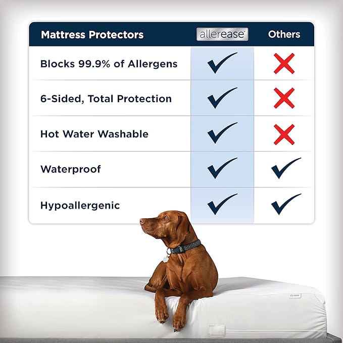 AllerEase Waterproof Mattress Protector Stain Protection Queen Size Allergen Barrier Hot Water Washable Machine Washable Durable Zippered Knit Mattress Cover Stretch Corners (White)