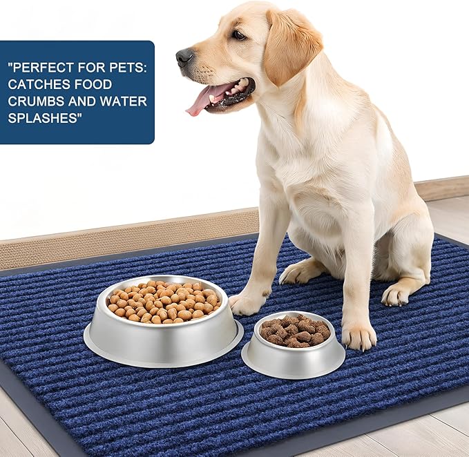 OLANLY Front Door Mat Indoor Outdoor Entrance, Waterproof Heavy Duty Doormat, Fade Resistant, Low Profile, Easy Clean Patio Porch Welcome Floor Mats for Entry, 59x35, Blue