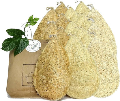Natural Loofah Dish Sponge (Pack 15) - Vegetable Scrubber for Kitchen -100% Biodegradable Compostable Dishwashing Scouring Pad, Zero Waste Plastic Free Eco Friendly Sustainable