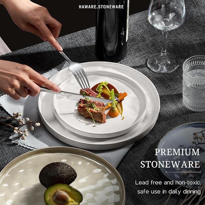 HaWare Dinnerware Sets, 12-Piece Plates and Bowls Set, Stoneware Dish Set